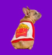 Treats, Biscuits & Chews