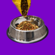 Dog Food