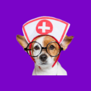 Dog Health & Hygiene